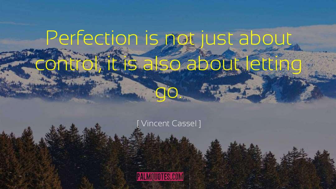 Cassel quotes by Vincent Cassel