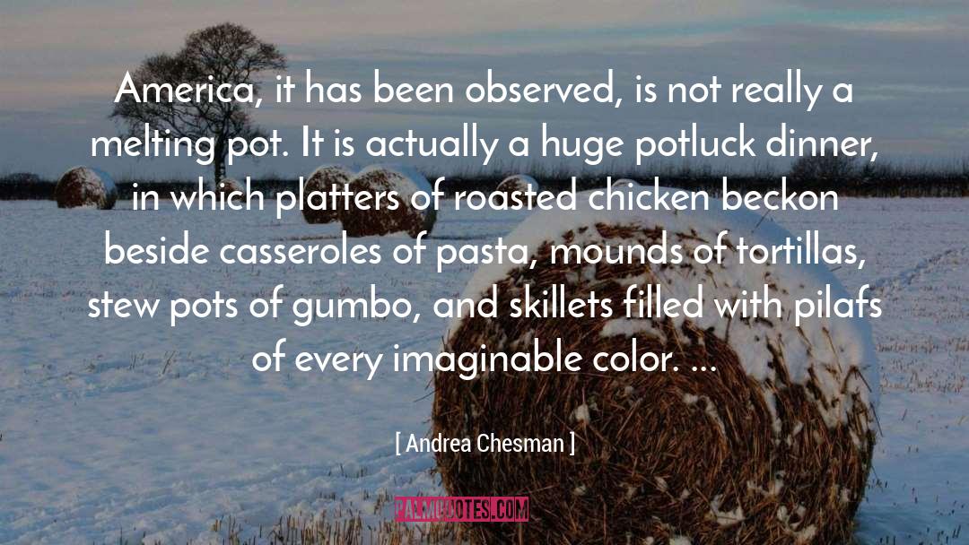 Casseroles quotes by Andrea Chesman