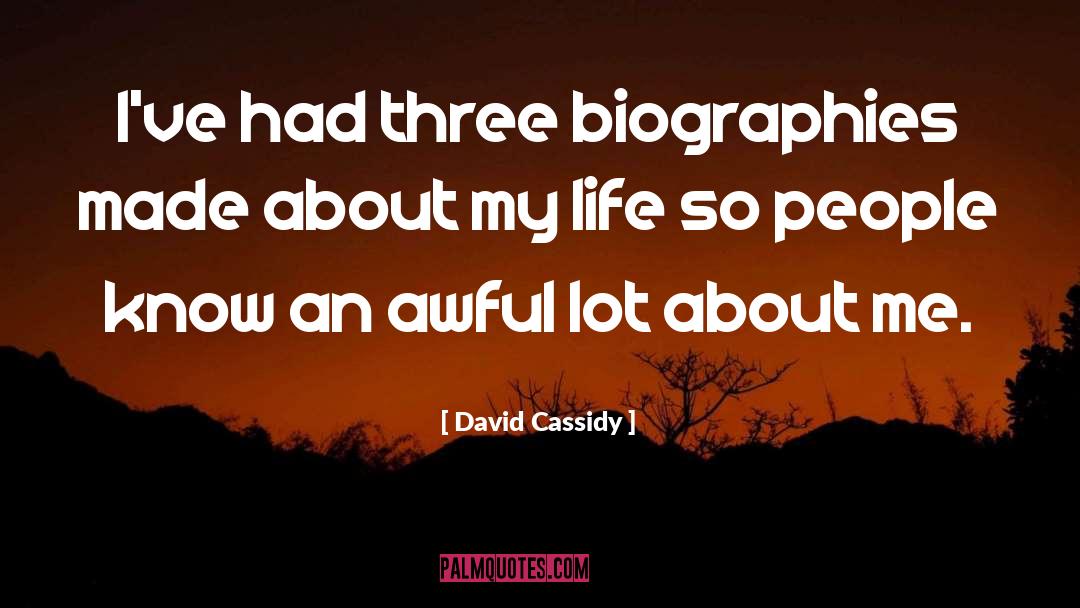 Cassidy quotes by David Cassidy