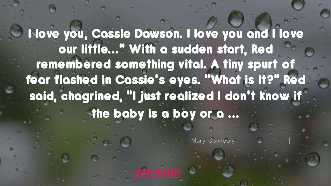 Cassie quotes by Mary Connealy