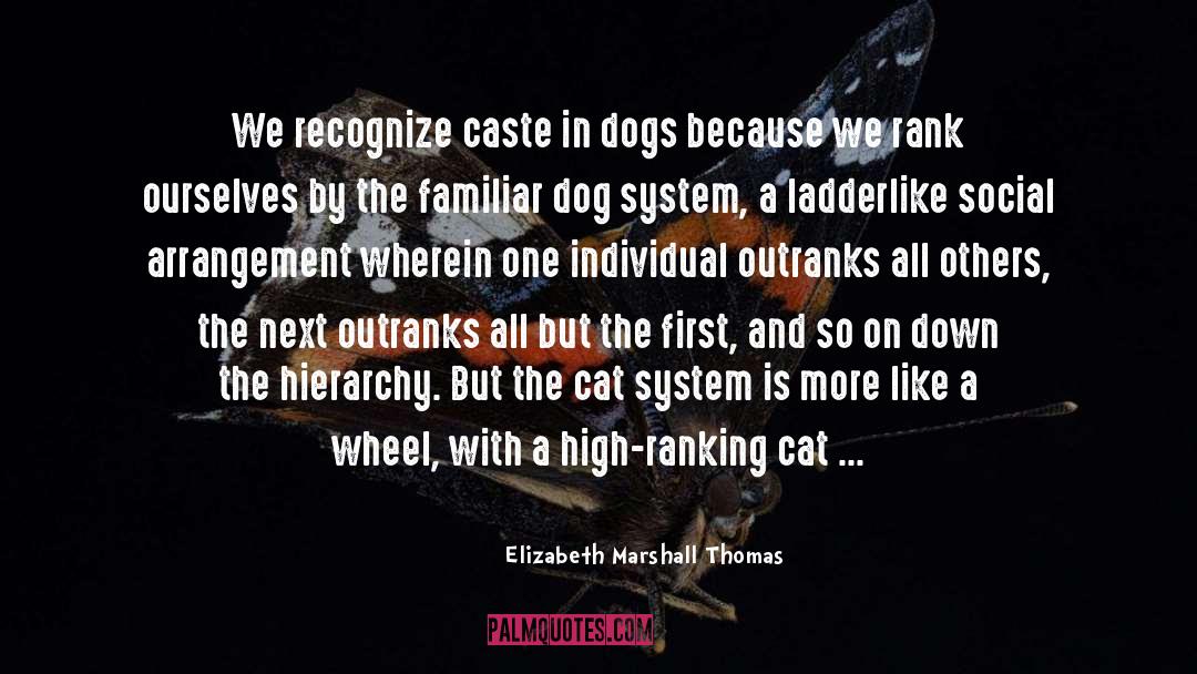 Caste quotes by Elizabeth Marshall Thomas