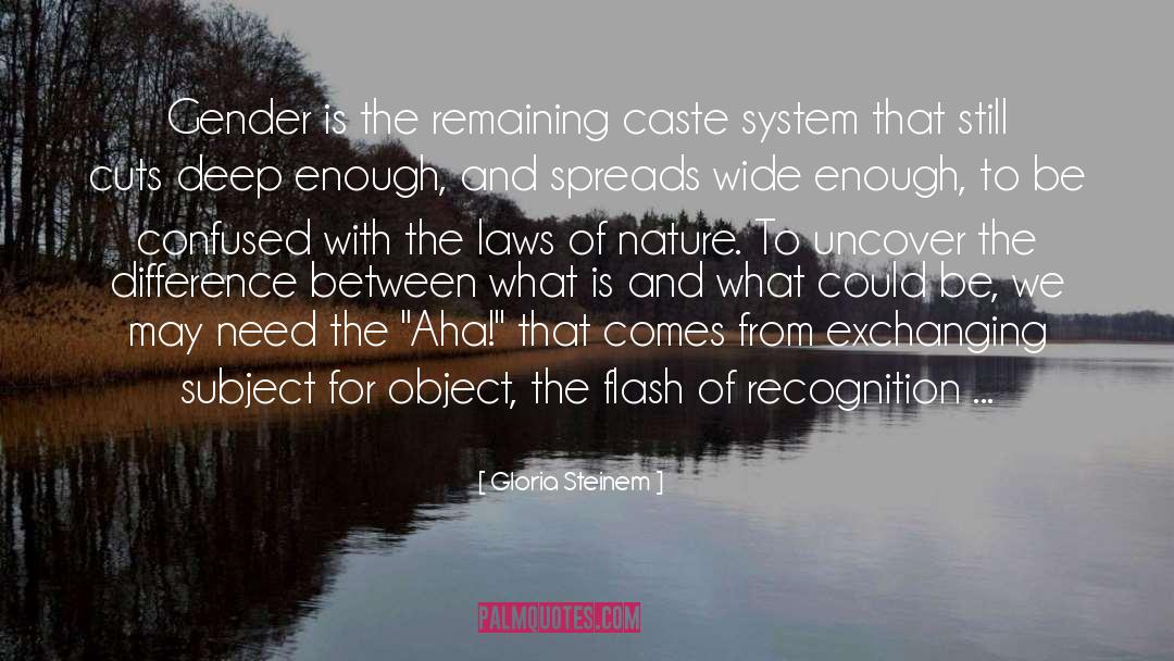 Caste System quotes by Gloria Steinem