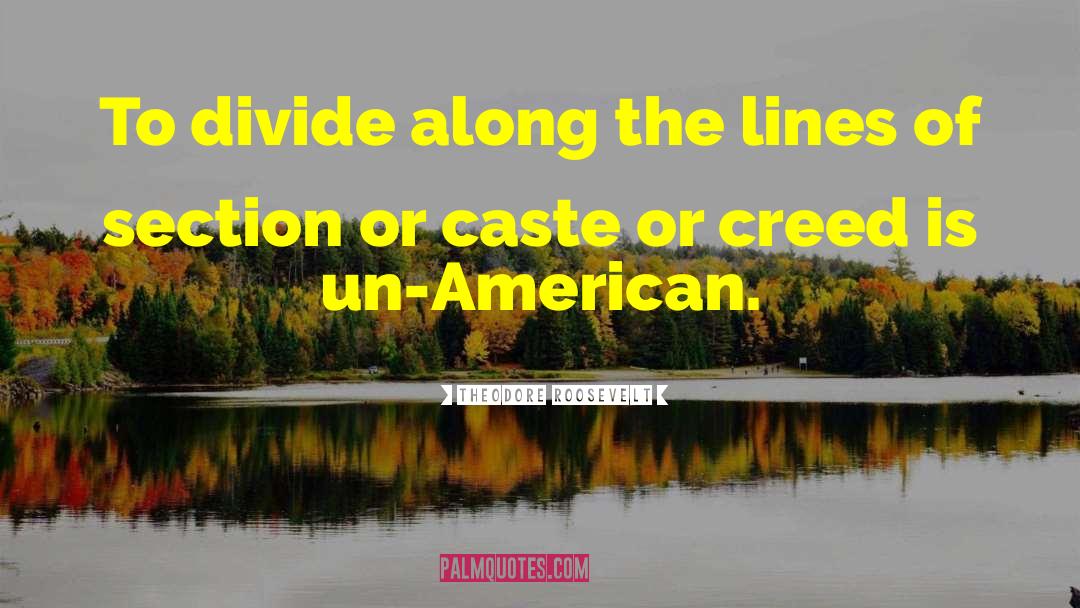 Castes quotes by Theodore Roosevelt