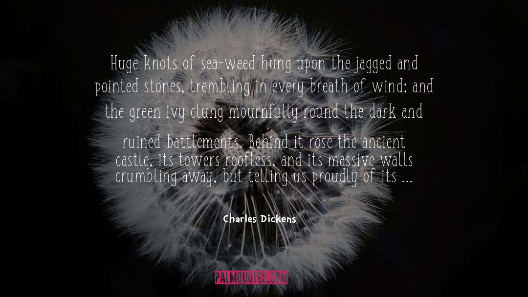 Castle 5x15 quotes by Charles Dickens