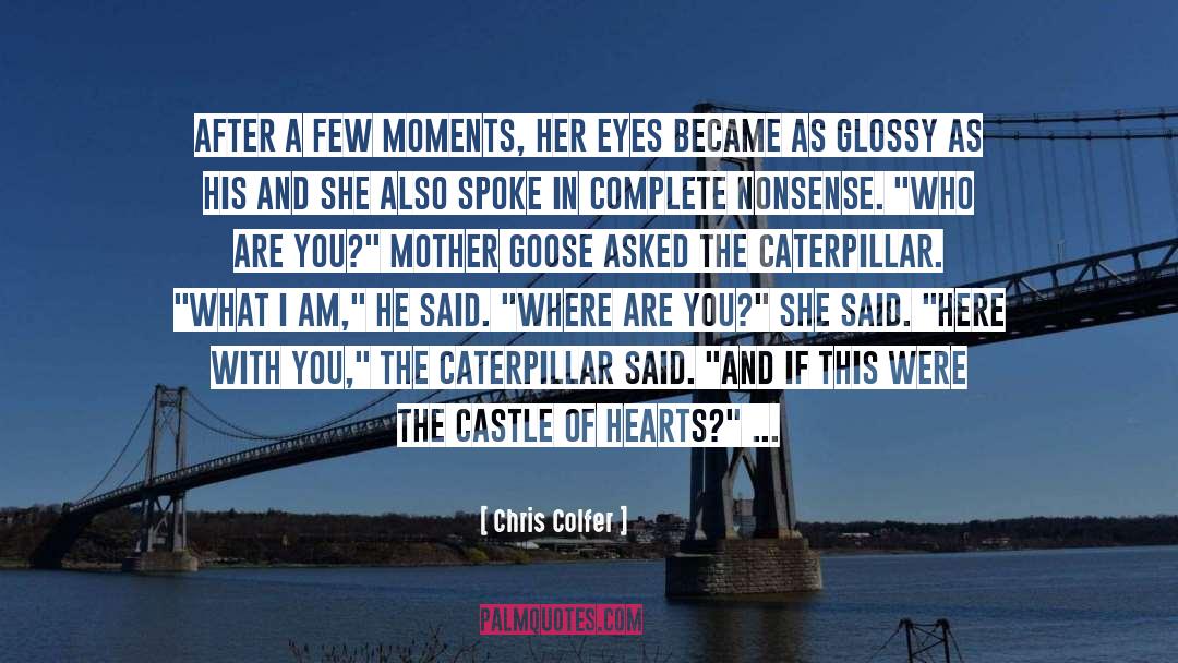 Castle quotes by Chris Colfer