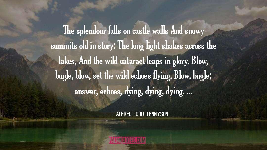 Castle Walls quotes by Alfred Lord Tennyson