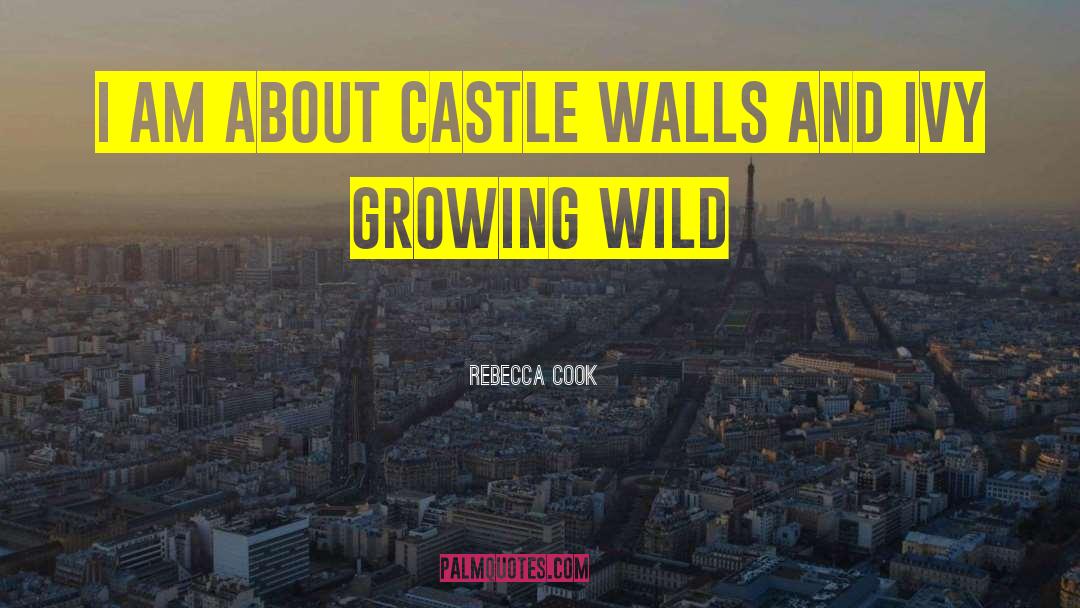 Castle Walls quotes by Rebecca Cook