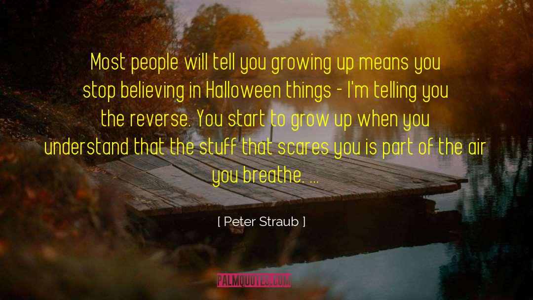 Castles In The Air quotes by Peter Straub