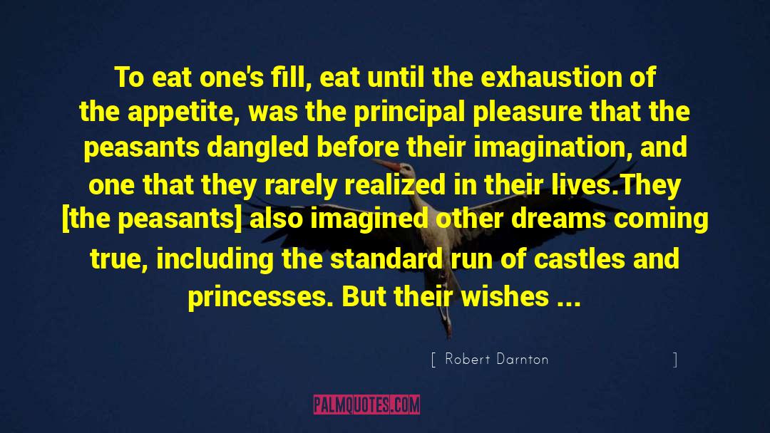 Castles quotes by Robert Darnton