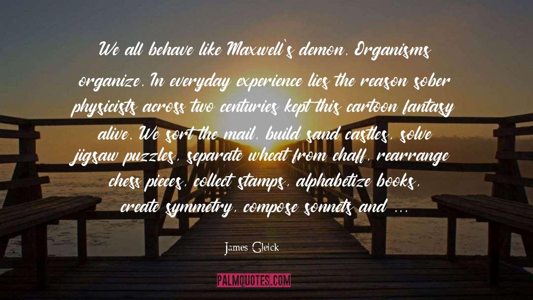 Castles quotes by James Gleick