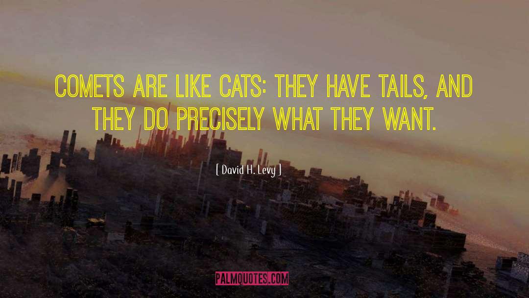 Cat And Bones quotes by David H. Levy