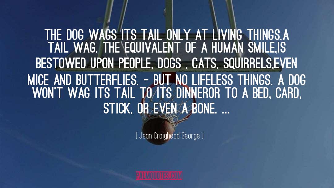 Cat And Bones quotes by Jean Craighead George