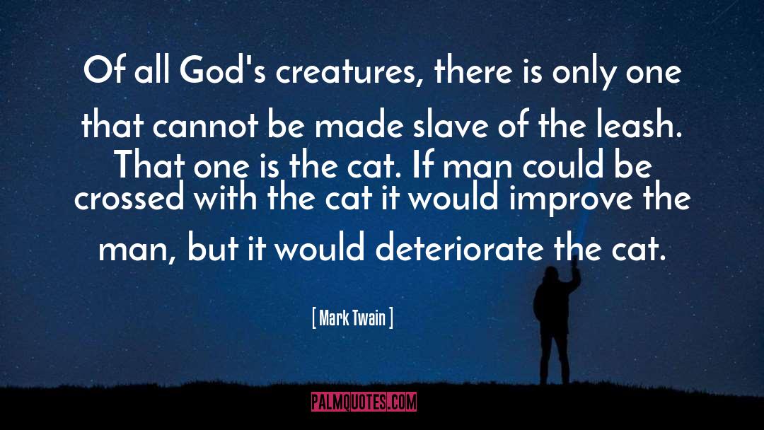 Cat And Dog quotes by Mark Twain