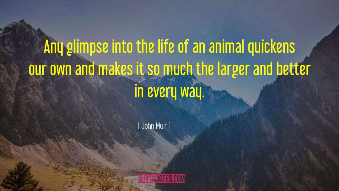 Cat And Dog quotes by John Muir