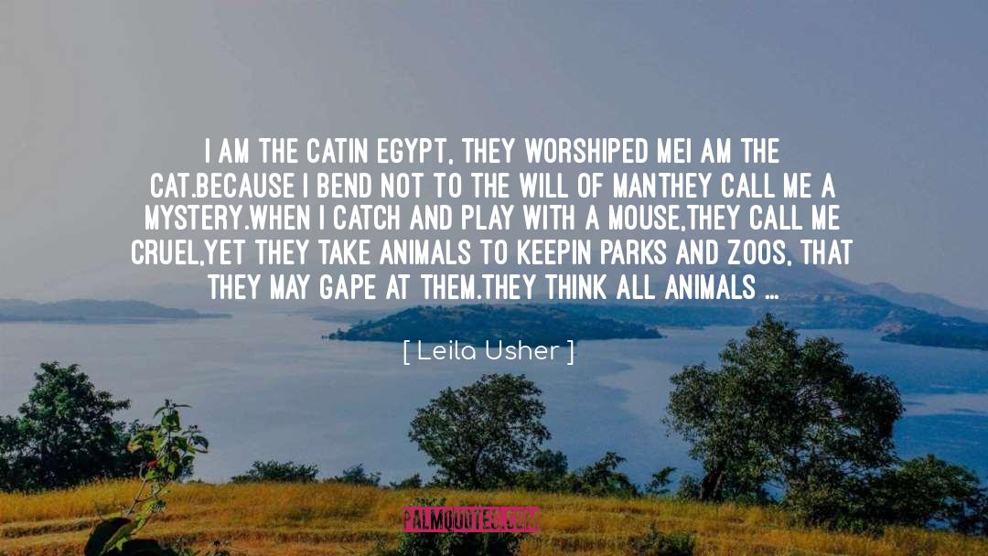 Cat And Dog quotes by Leila Usher