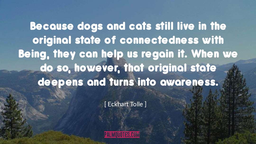 Cat And Dog quotes by Eckhart Tolle