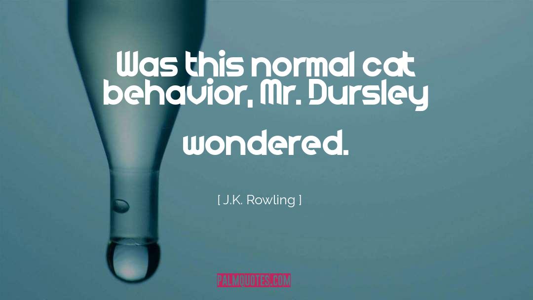 Cat Behavior quotes by J.K. Rowling