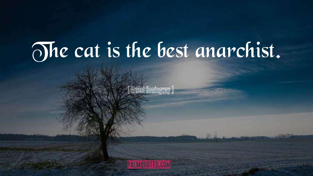 Cat Behaviour quotes by Ernest Hemingway