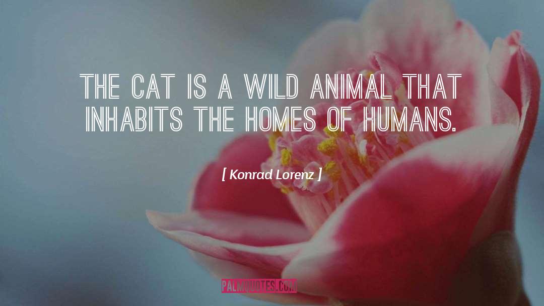 Cat Behaviour quotes by Konrad Lorenz