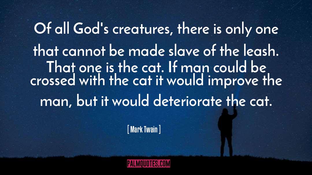 Cat Clarke quotes by Mark Twain