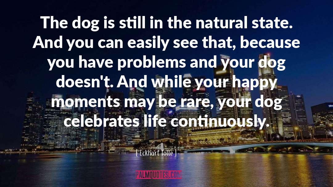 Cat Dog quotes by Eckhart Tolle