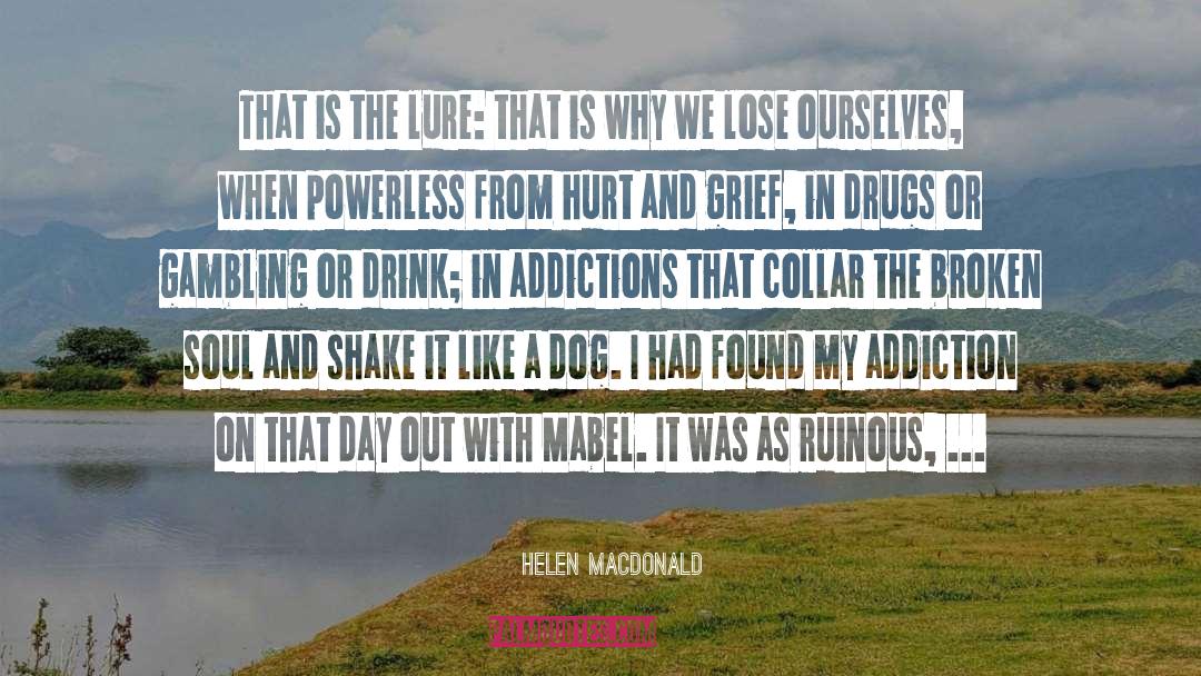 Cat Dog quotes by Helen Macdonald