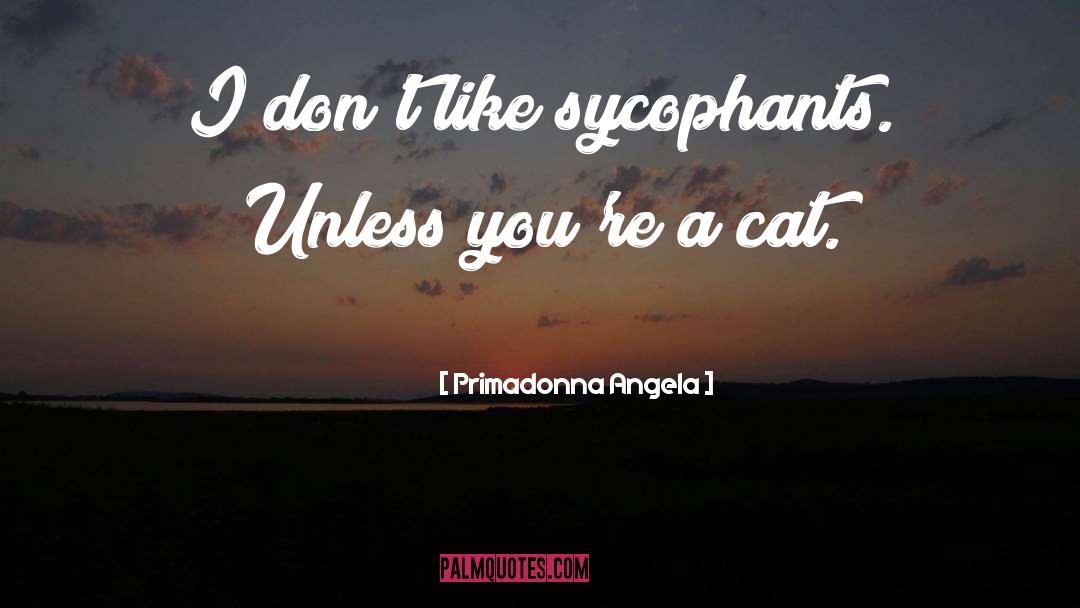 Cat Dog quotes by Primadonna Angela