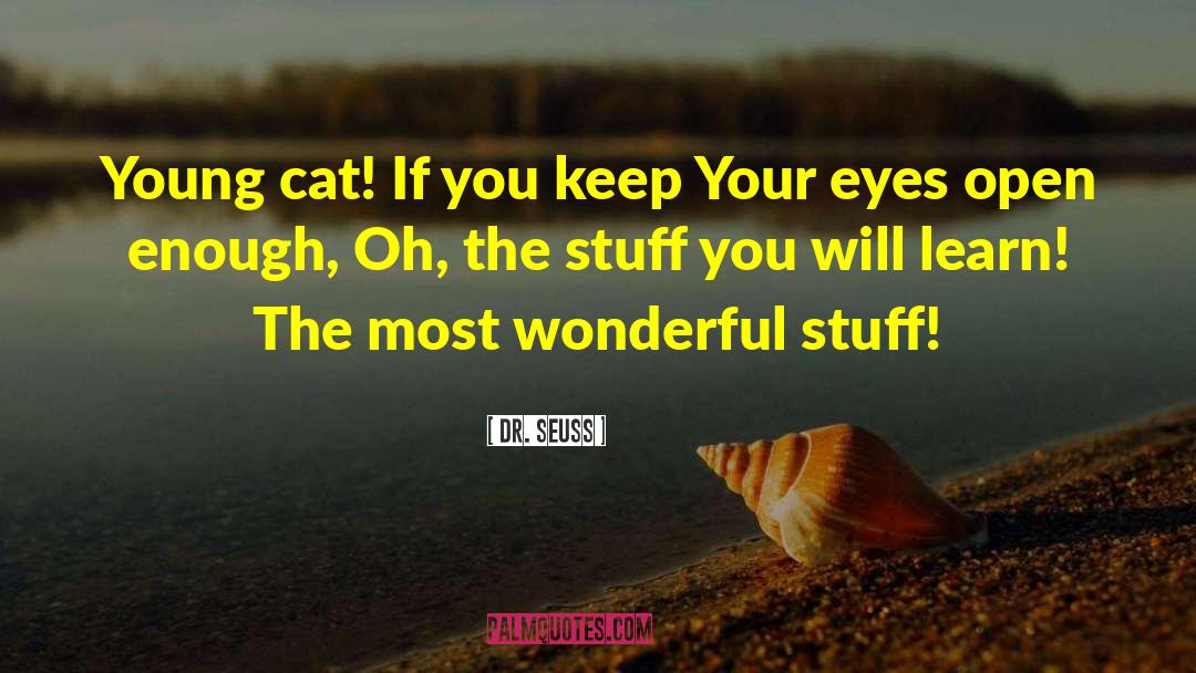 Cat Eye quotes by Dr. Seuss