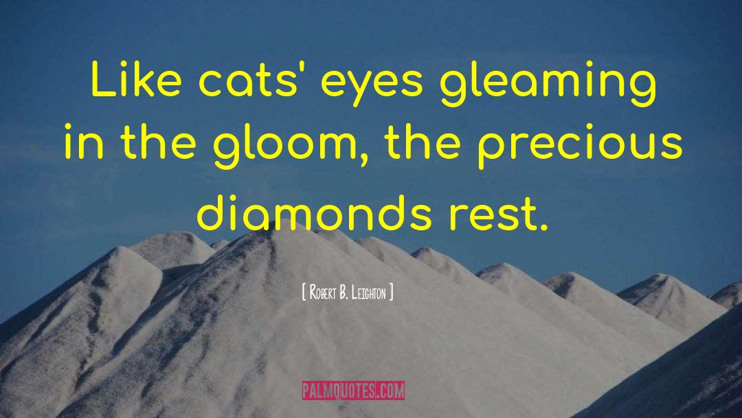 Cat Eye quotes by Robert B. Leighton