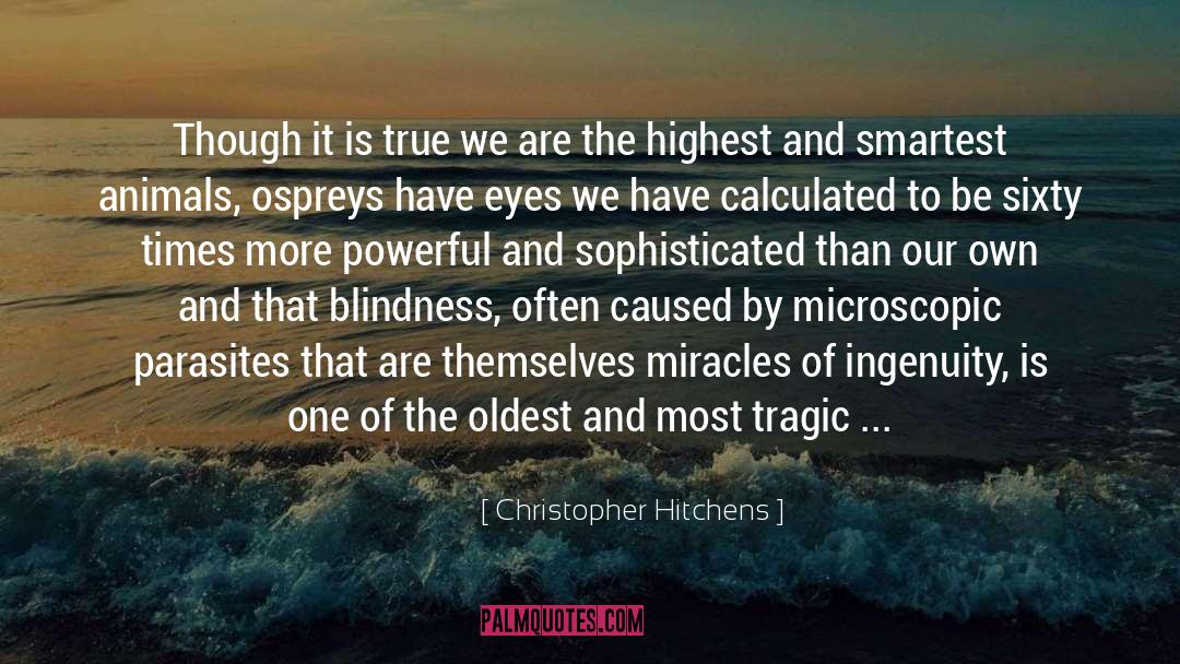 Cat Eye quotes by Christopher Hitchens