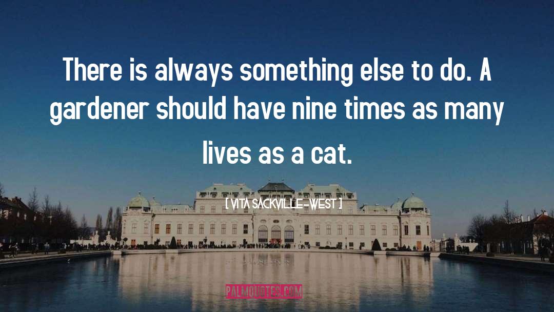 Cat Feet quotes by Vita Sackville-West