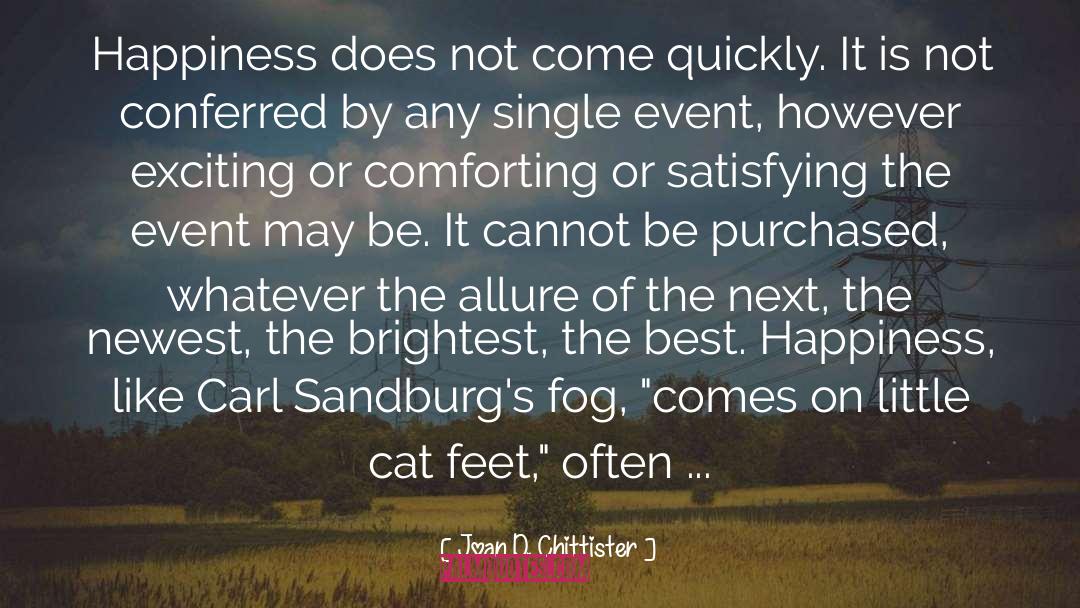 Cat Feet quotes by Joan D. Chittister