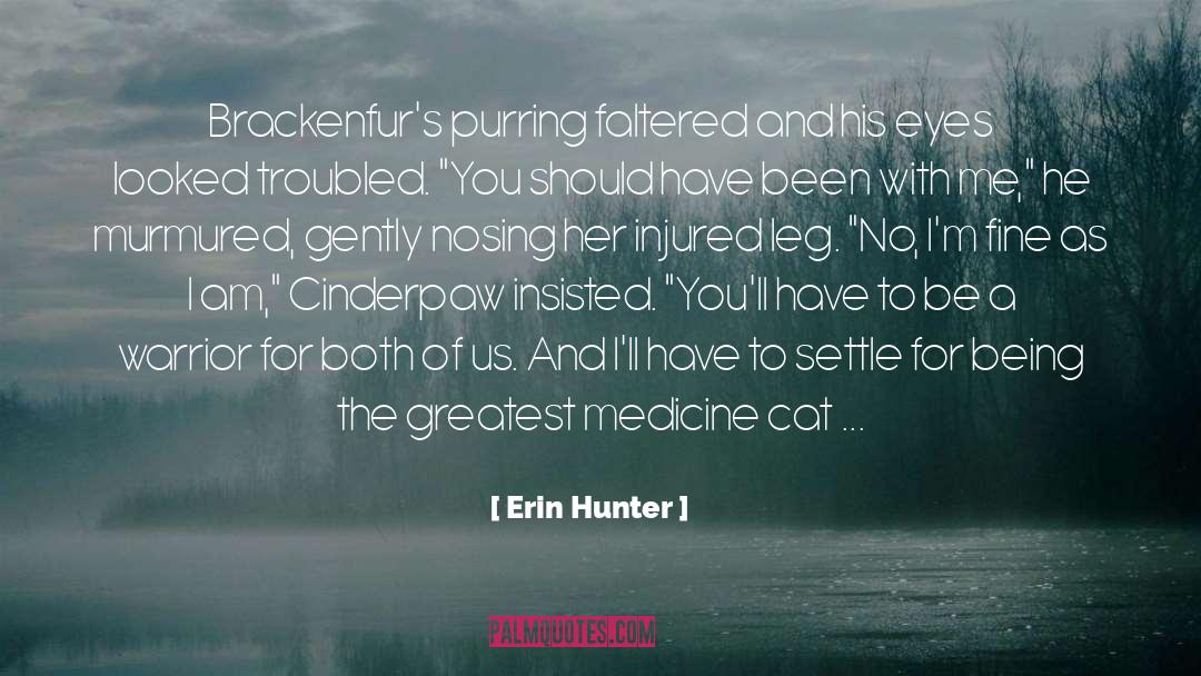 Cat Feet quotes by Erin Hunter