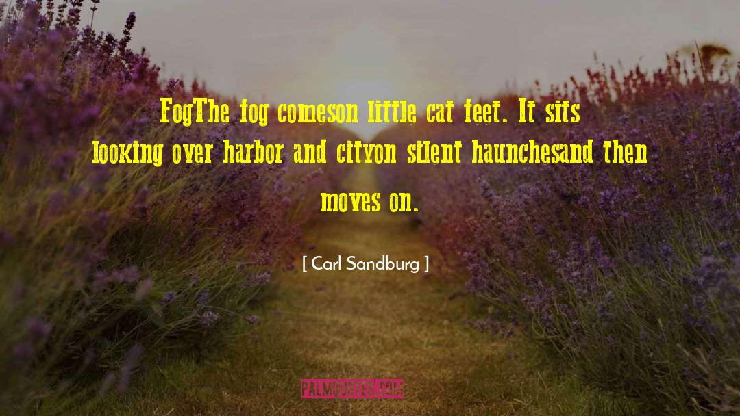 Cat Feet quotes by Carl Sandburg