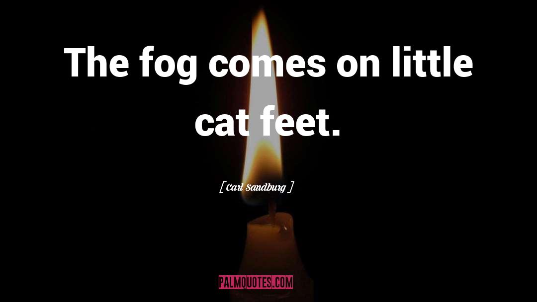 Cat Feet quotes by Carl Sandburg