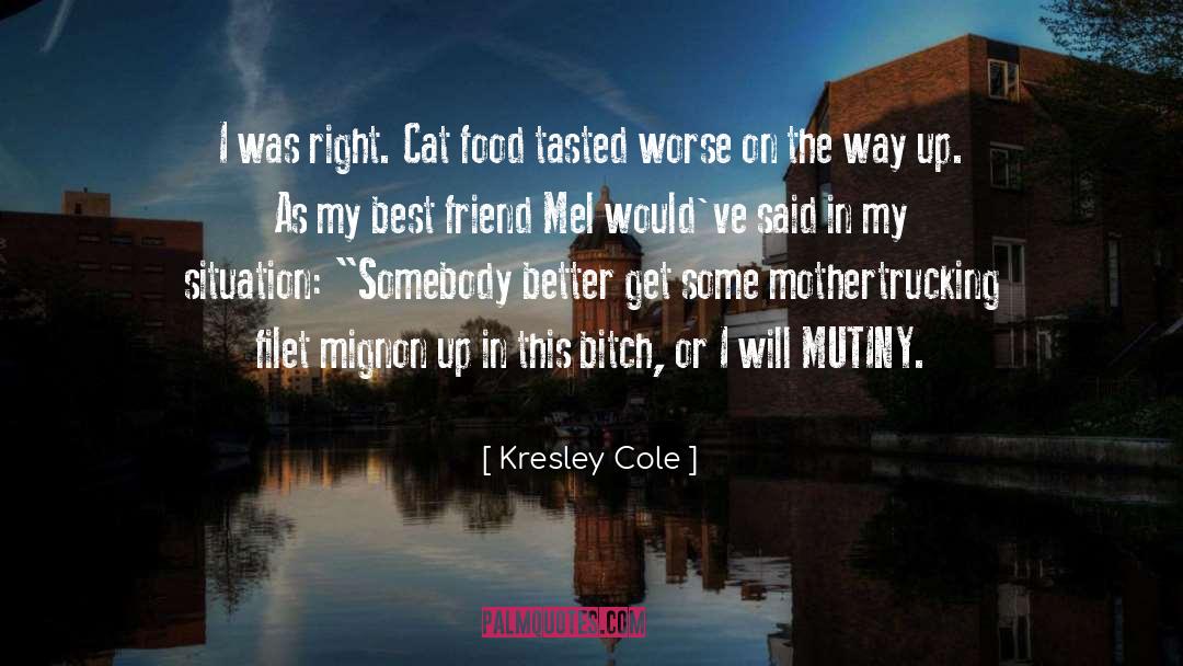 Cat Fights quotes by Kresley Cole