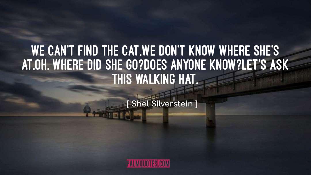 Cat In The Hat Babysitter quotes by Shel Silverstein