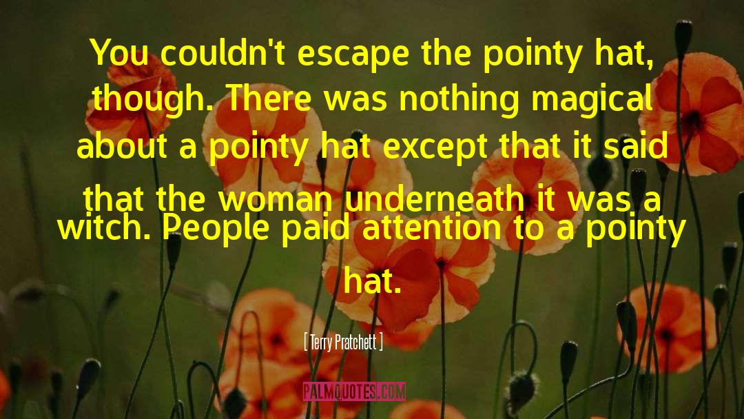 Cat In The Hat Babysitter quotes by Terry Pratchett