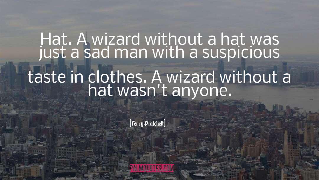 Cat In The Hat Babysitter quotes by Terry Pratchett