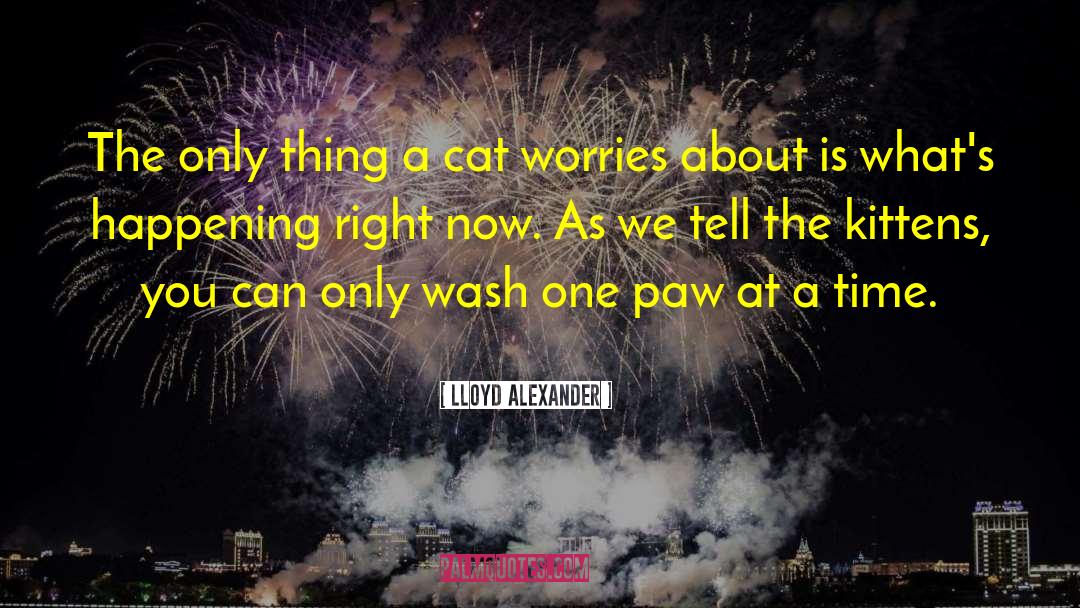 Cat Inspired quotes by Lloyd Alexander