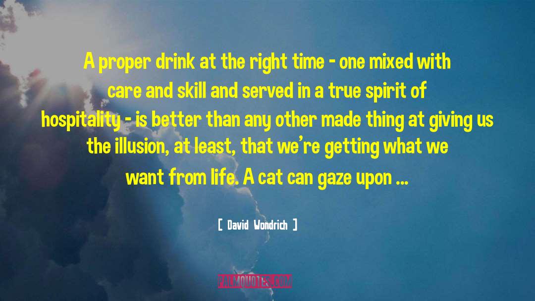 Cat Lady quotes by David Wondrich