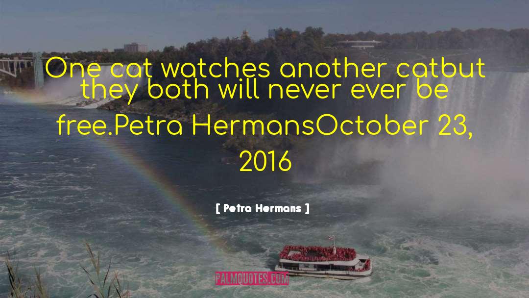 Cat Logos De Miercoles quotes by Petra Hermans
