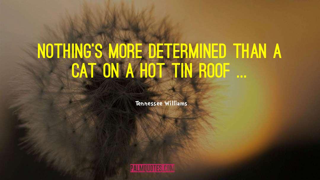 Cat On A Hot Tin Roof quotes by Tennessee Williams