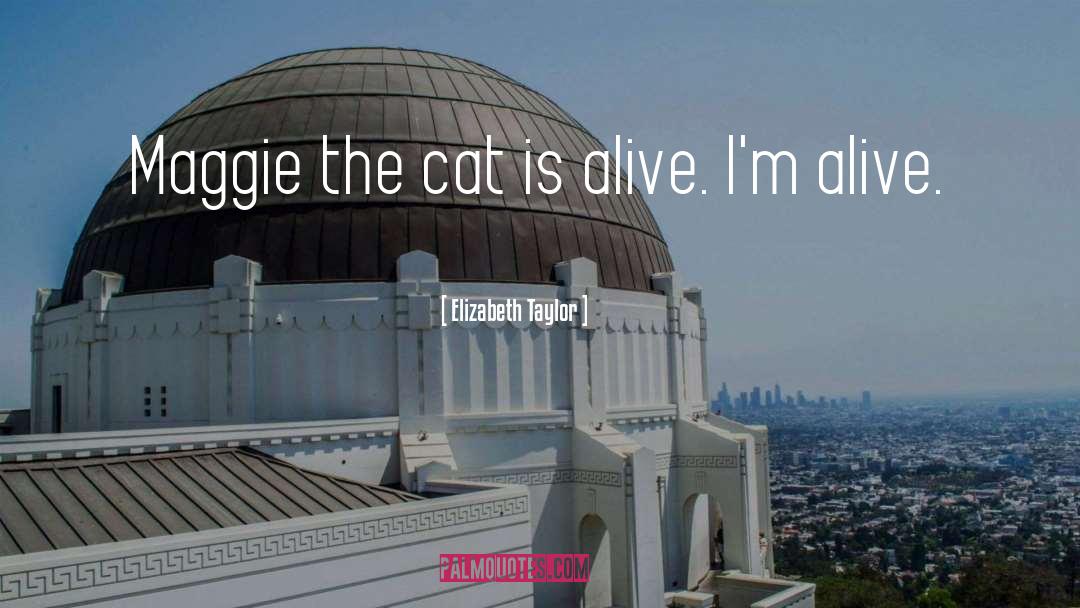 Cat On A Hot Tin Roof quotes by Elizabeth Taylor