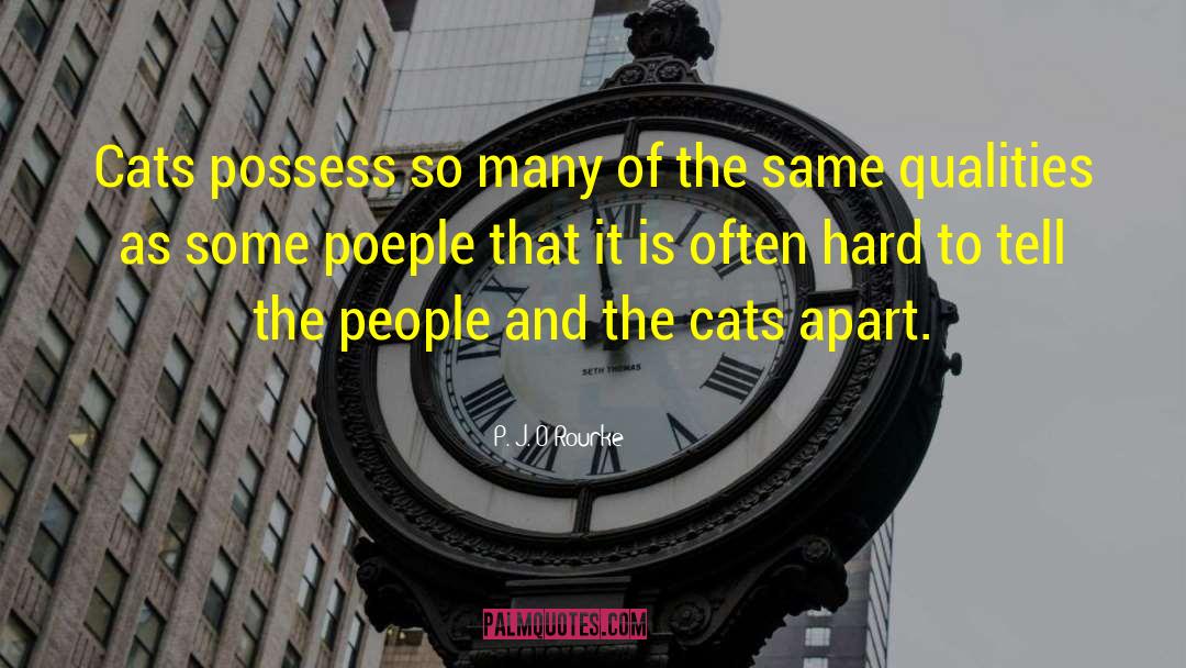 Cat People quotes by P. J. O'Rourke