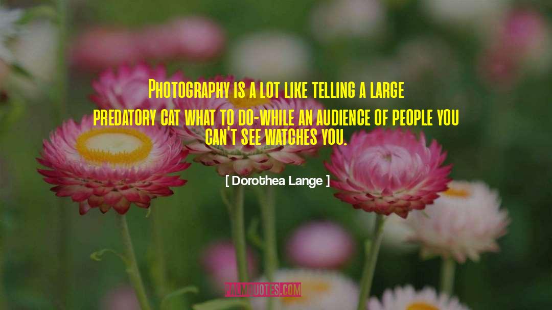 Cat People quotes by Dorothea Lange