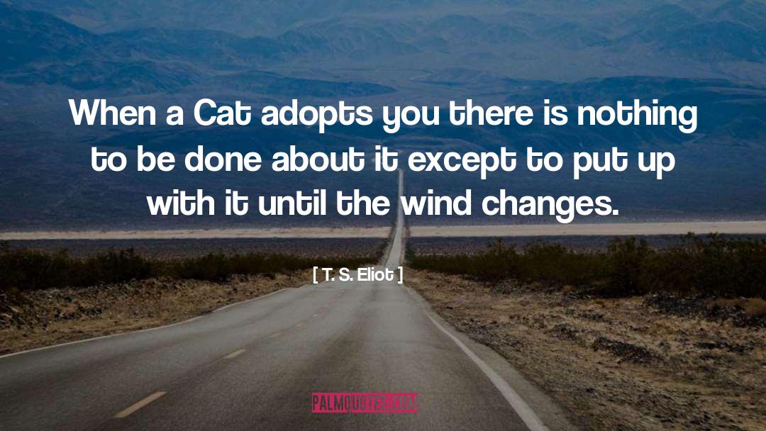 Cat S Cradle quotes by T. S. Eliot