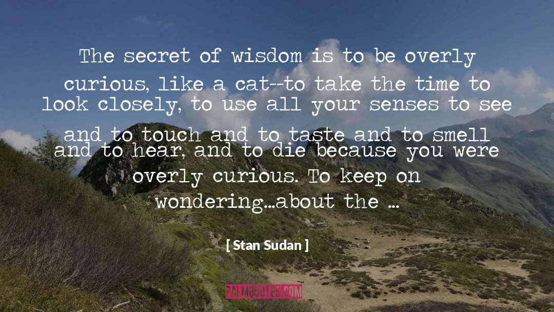 Cat Wisdom quotes by Stan Sudan