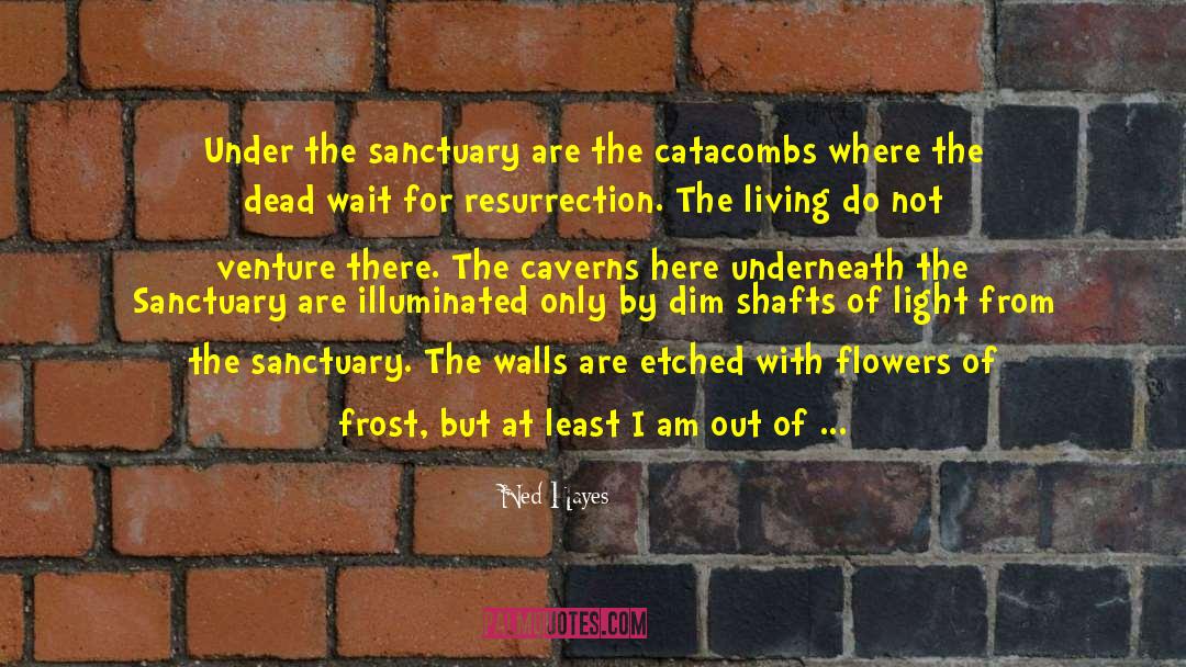 Catacombs quotes by Ned Hayes