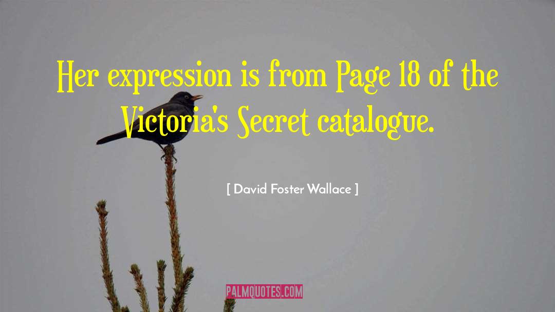 Catalogue quotes by David Foster Wallace